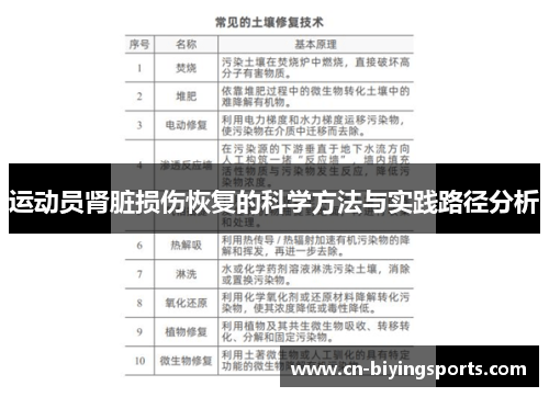 运动员肾脏损伤恢复的科学方法与实践路径分析 运动员肾脏损伤恢复的科学方法与实践路径分析
